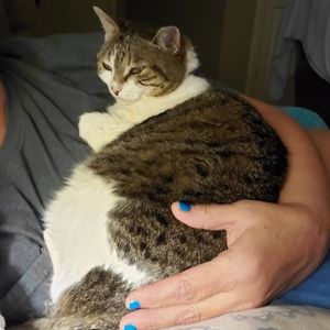 Meet your Posher, Tracey